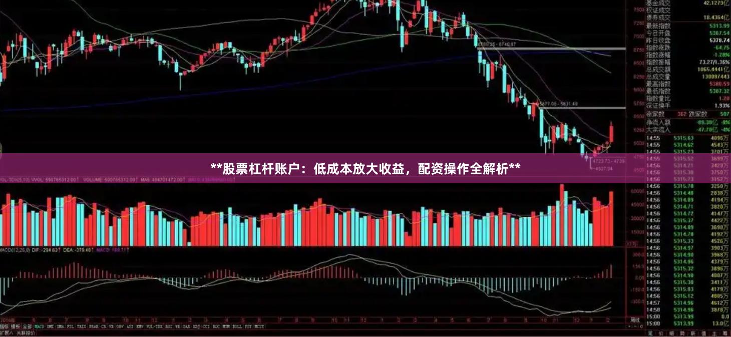 **股票杠杆账户：低成本放大收益，配资操作全解析**