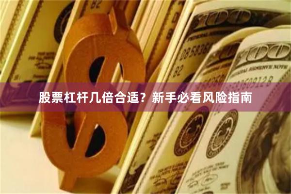 股票杠杆几倍合适？新手必看风险指南
